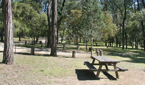 Lemon Tree Flat Campground - Accommodation Southport 0