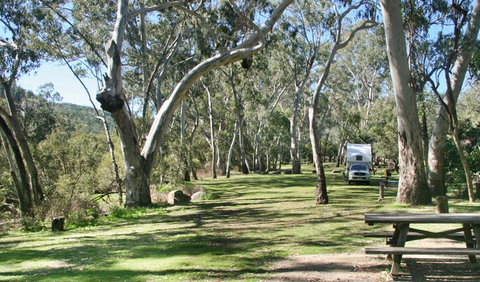 Lemon Tree Flat Campground - Accommodation Southport 2