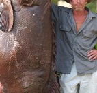 Michael's Clarence Valley Retreat - Accommodation Southport