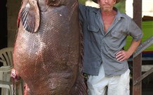 Michael's Clarence Valley Retreat - Accommodation Southport 0