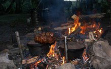 Michael's Clarence Valley Retreat - Accommodation Southport 5