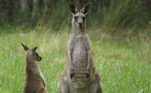 Michael's Clarence Valley Retreat - Accommodation Southport 7
