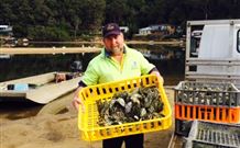 Patonga Camping Area - Accommodation Southport 2