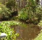 Tallowood Ridge B and B - Southport Accommodation