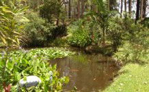 Tallowood Ridge B And B - Southport Accommodation 0