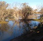 Warrawong on the Darling - Accommodation Southport