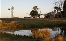 Warreen Farmstay Rural Accommodation - Southport Accommodation 1