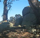 Warreen Farmstay Rural Accommodation - Southport Accommodation