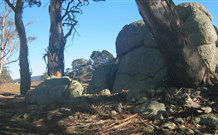 Warreen Farmstay Rural Accommodation - Southport Accommodation 0