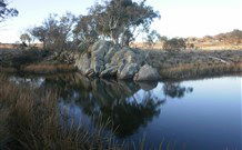 Warreen Farmstay Rural Accommodation - Southport Accommodation 4