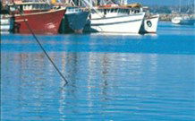 Iluka Motel - Iluka - Accommodation Southport 2