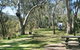 Lemon Tree Flat Campground - thumb 3