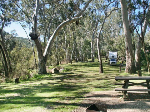 Lemon Tree Flat Campground - Accommodation Southport 3