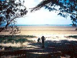 Midge Point QLD Southport Accommodation