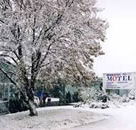 Maneroo Motel - Southport Accommodation