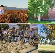 Southern Cross Motor Inn - Southport Accommodation