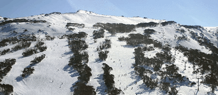Thredbo Alpine Hotel - Southport Accommodation