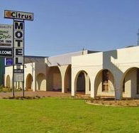 Citrus Motel - Southport Accommodation