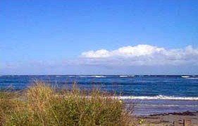 Carleton Inn - Accommodation Southport 2