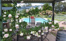 Valley View Motel Murrurundi - Murrurundi - Accommodation Southport 2