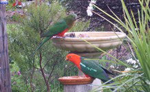 Valley View Motel Murrurundi - Murrurundi - Accommodation Southport 4