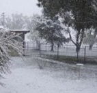 Tirrintippin - Southport Accommodation