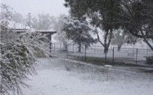 Tirrintippin - Southport Accommodation 0