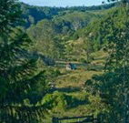 Yarralong BnB and Farm Stay - Accommodation Southport