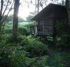 Mount Seaview Resort - Accommodation Southport