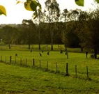 Stone Cottage Mittagong - Accommodation Southport