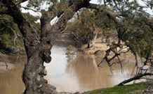 Valley View Cottage Hunter Valley - Southport Accommodation 0