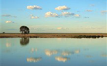 Valley View Cottage Hunter Valley - Southport Accommodation 4