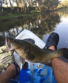 Dumaresq Homestead - Accommodation Southport 0