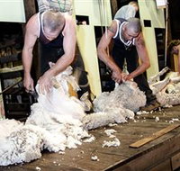 The Woolshed at Jondaryan Caravan and Camping - Southport Accommodation