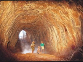 Undara Experience - Accommodation Southport 1