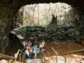 Undara Experience - Accommodation Southport 2