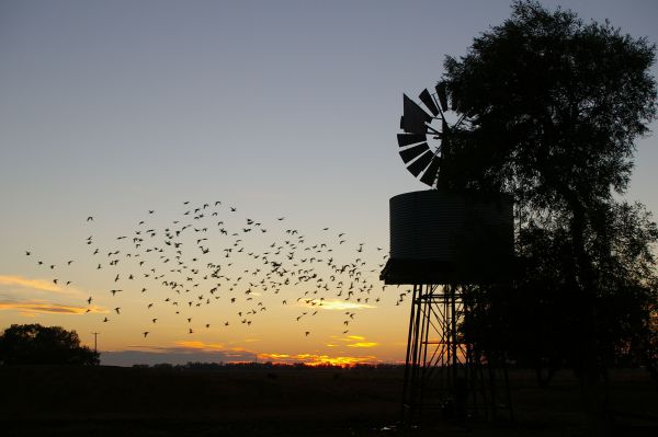 Tooraweenah NSW Accommodation Southport