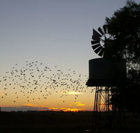 Nevertire Hotel - Accommodation Southport