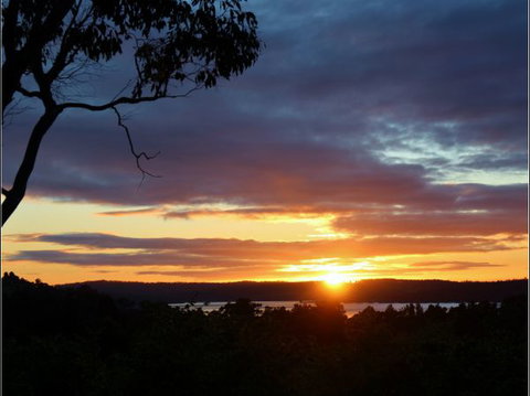 Herons Rise Vineyard Accommodation - Accommodation Southport 4