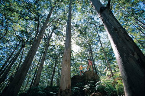 Point Road Camp At Leeuwin-Naturaliste National Park - Southport Accommodation 1
