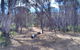 Valley Camp At Avon Valley National Park - thumb 0