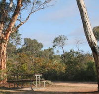 Drummonds Camp at Avon Valley National Park - Accommodation Southport