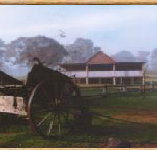 Megalong Valley Farm - Accommodation Southport