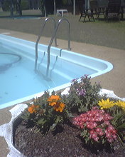 Gunning Motel - Accommodation Southport 2