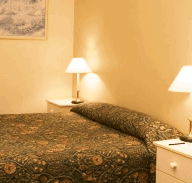 Best Western Abel Tasman Airport Motor Inn - Southport Accommodation