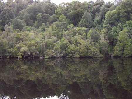 Castaway Holiday Apartments - Accommodation Southport 5