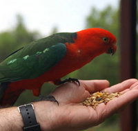 Barrington Tops Escapes - Accommodation Southport