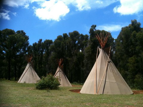 Kinglake Forest Adventures Camp - Accommodation Southport 0