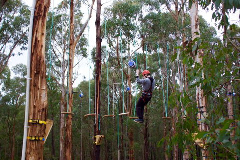 Kinglake Forest Adventures Camp - Accommodation Southport 5