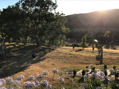 Shearer's Hill - Luxury Farm Stay - Southport Accommodation 9